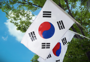せどり 韓国